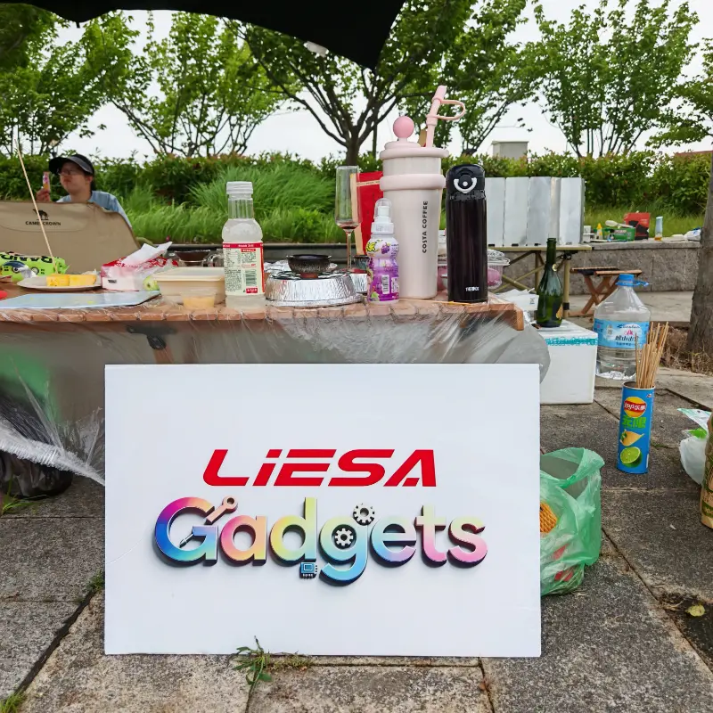 LIESA Gadgets organiza un team building para acampar al aire libre para unir al equipo para el negocio global de electrodomésticos de limpieza